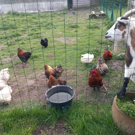 Domaine Les Tourelles 3