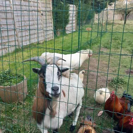 Domaine Les Tourelles 3 Apartament Caffiers