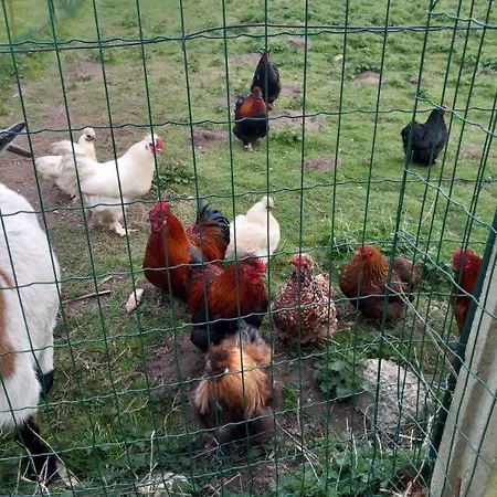 Domaine Les Tourelles 3 * Caffiers